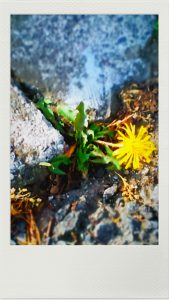 16-06-12-07-45-43-266_deco