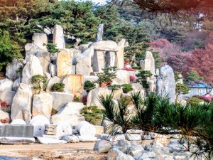 img_20161114_080945-2