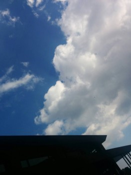 空１１