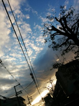 空７