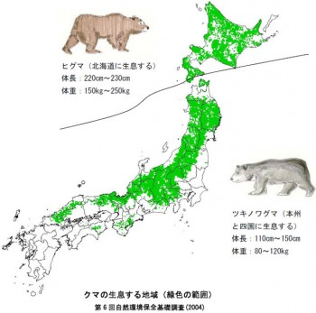 クマの生息地