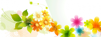 花１６