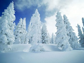 雪１