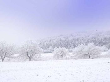 雪