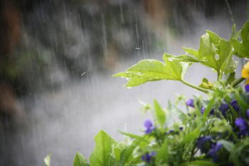 雨３