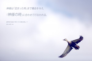 20141011-7_Ja　神様の時